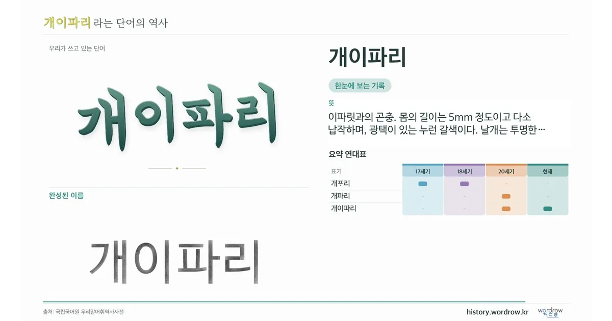 개이파리 대표 이미지