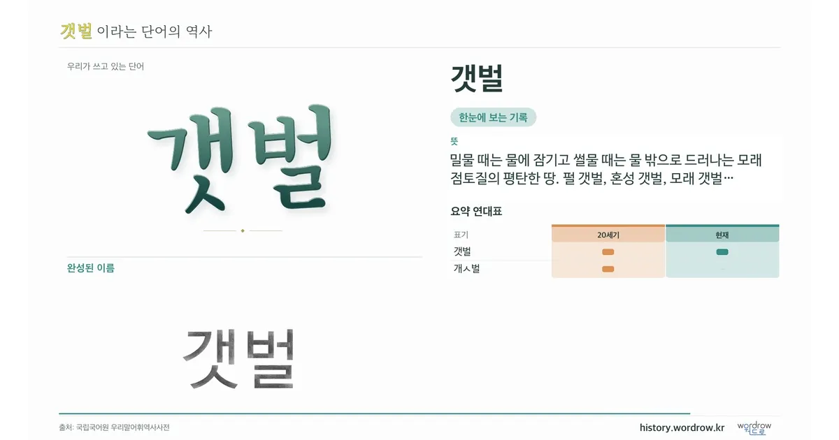 갯벌 대표 이미지