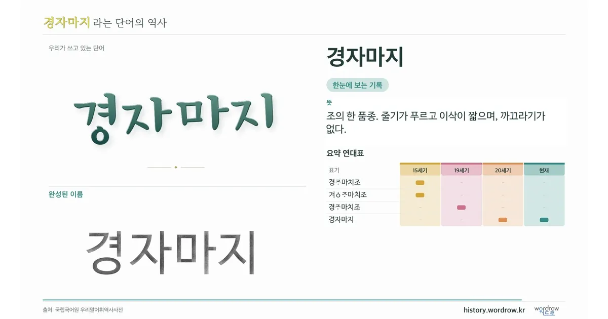 경자마지 대표 이미지