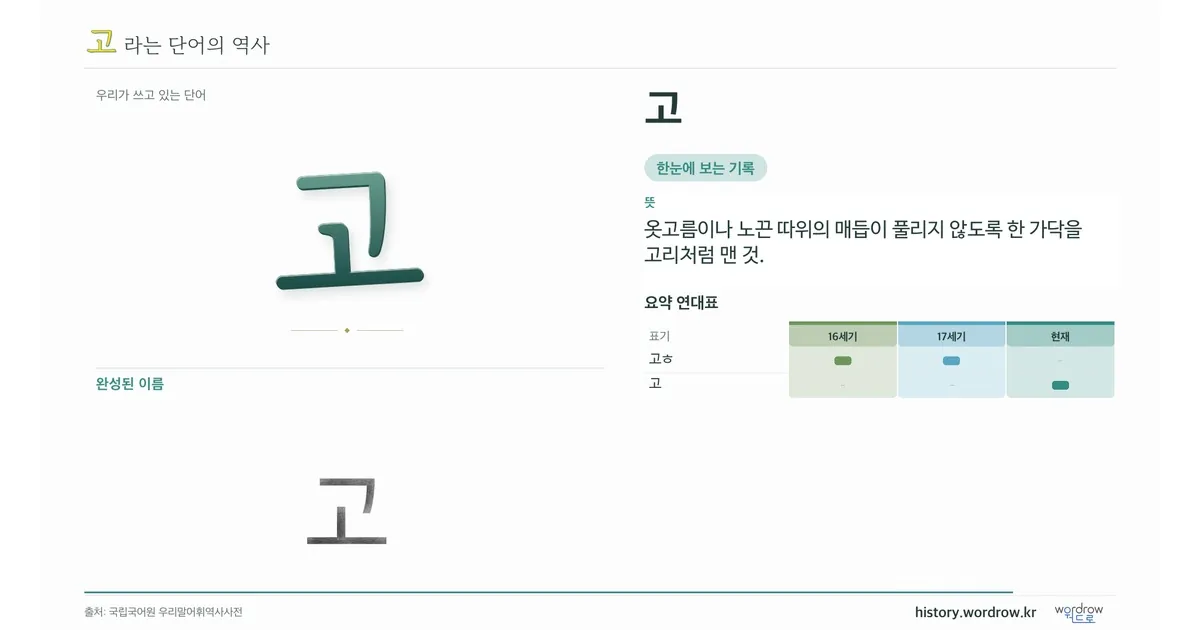고 대표 이미지