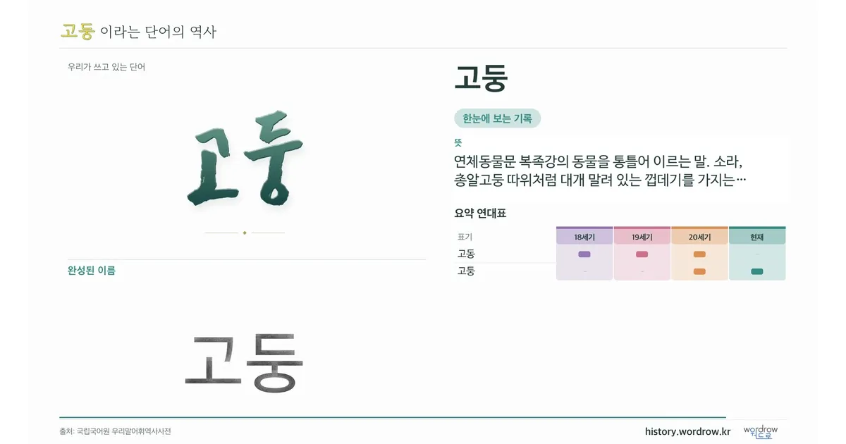 고둥 대표 이미지