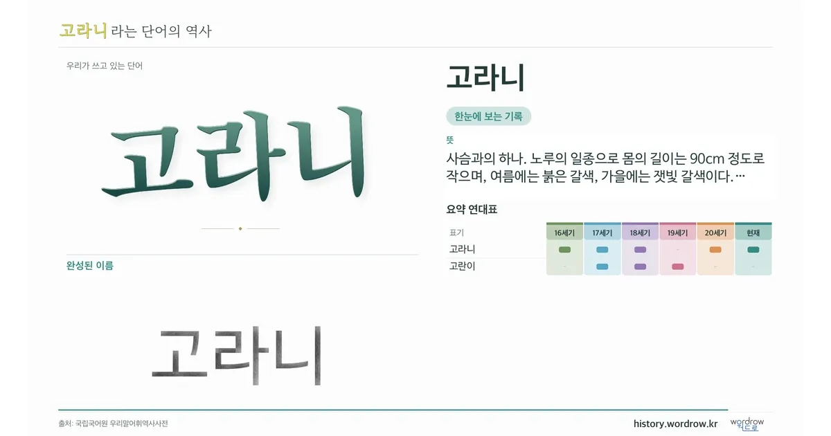 고라니 대표 이미지