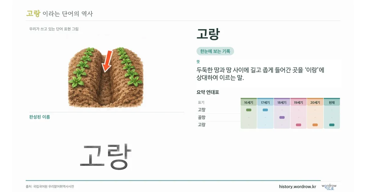 고랑 대표 이미지