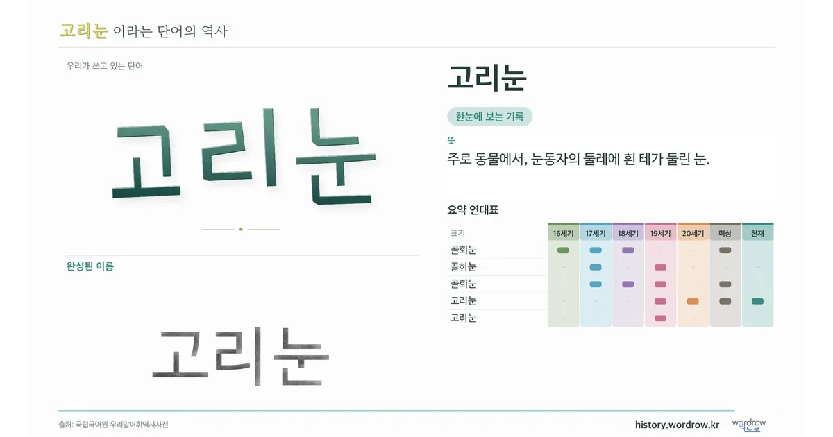 고리눈 대표 이미지