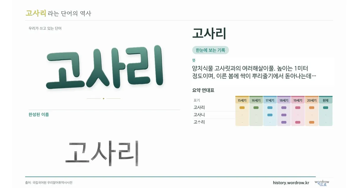 고사리 대표 이미지