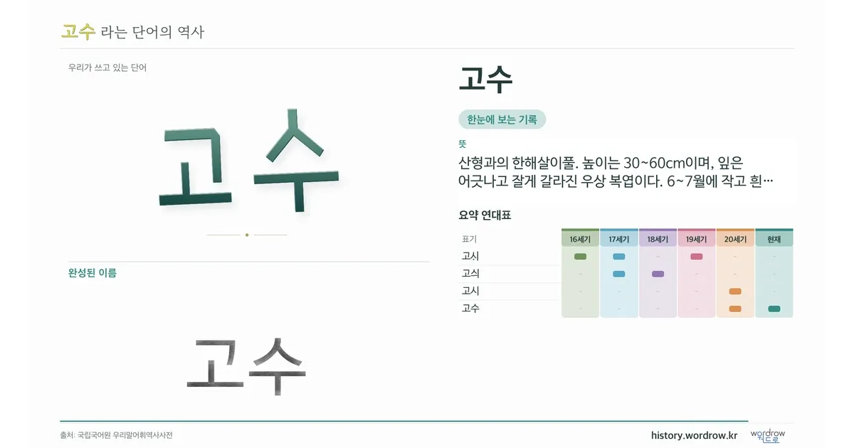 고수 대표 이미지