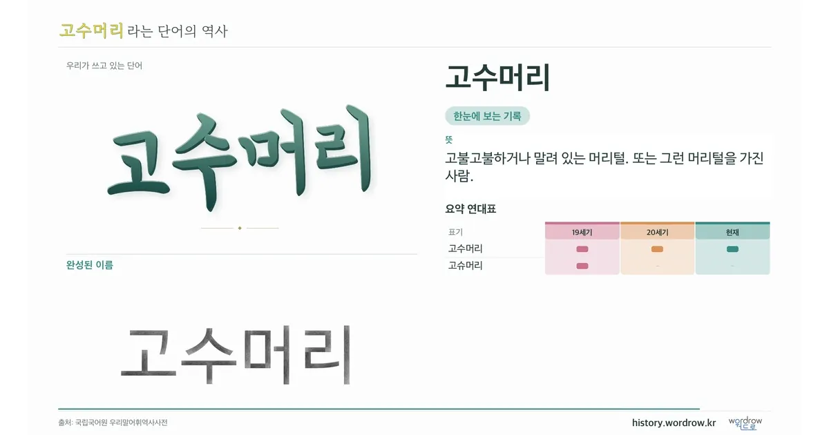 고수머리 대표 이미지
