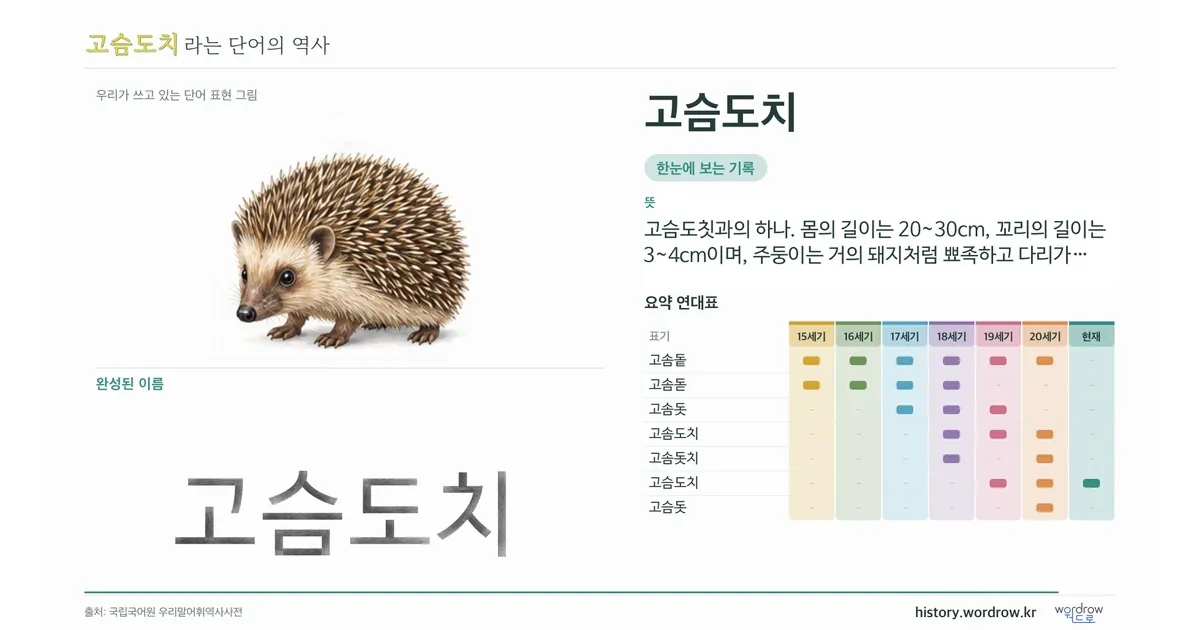고슴도치 대표 이미지