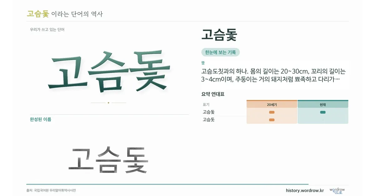 고슴돛 대표 이미지