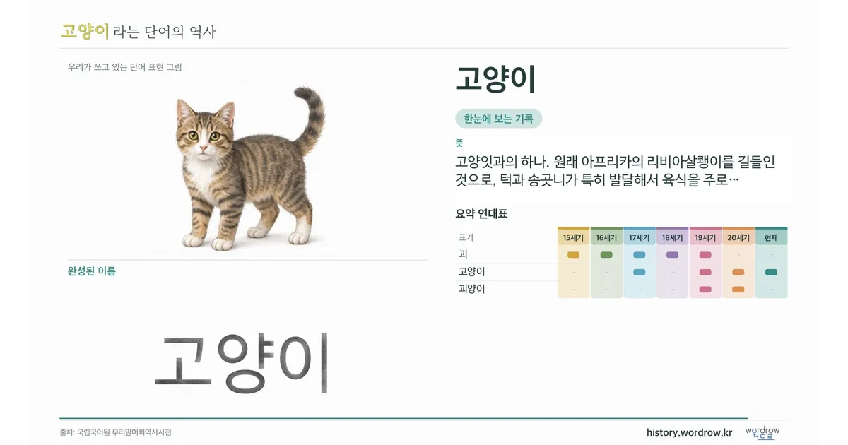 고양이 대표 이미지