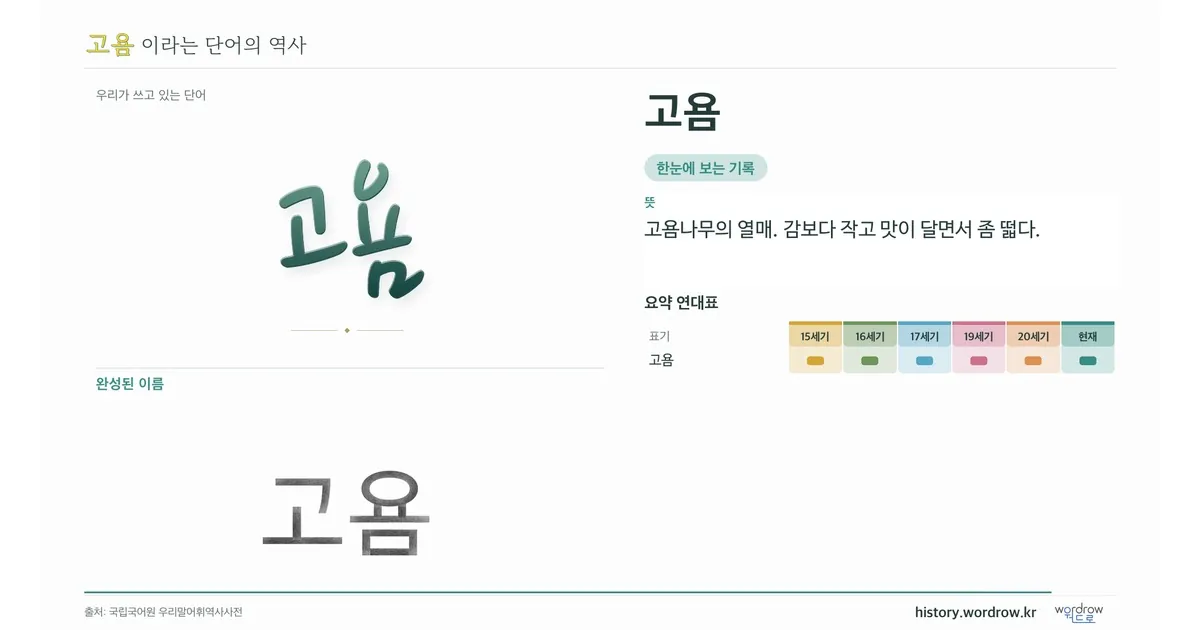 고욤 대표 이미지