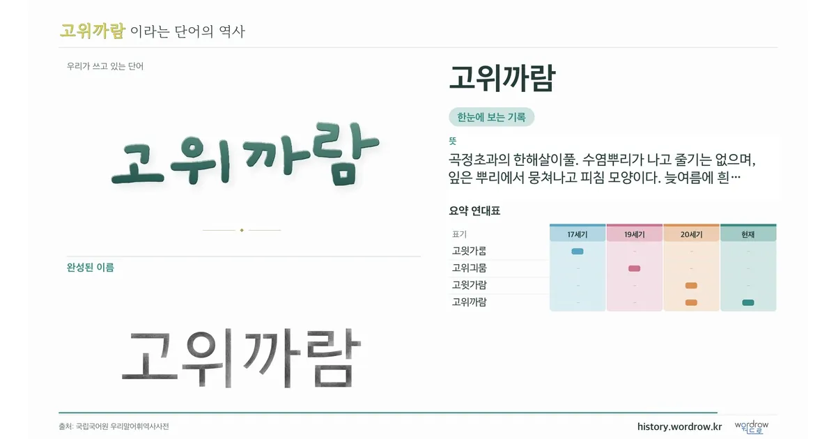 고위까람 대표 이미지