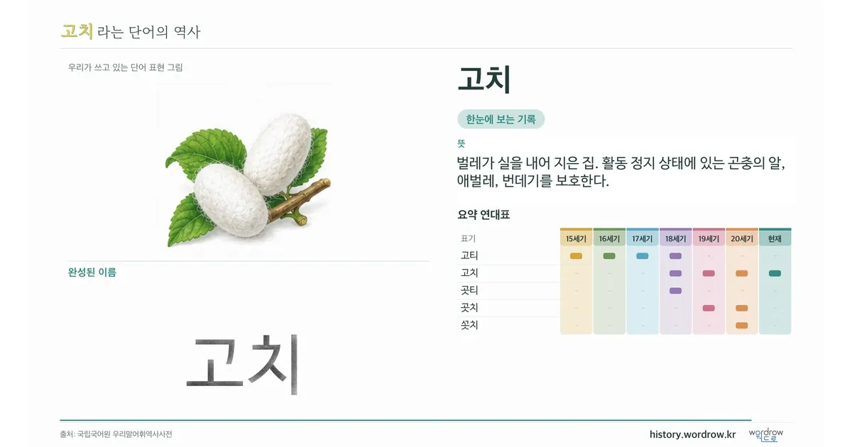 고치 대표 이미지
