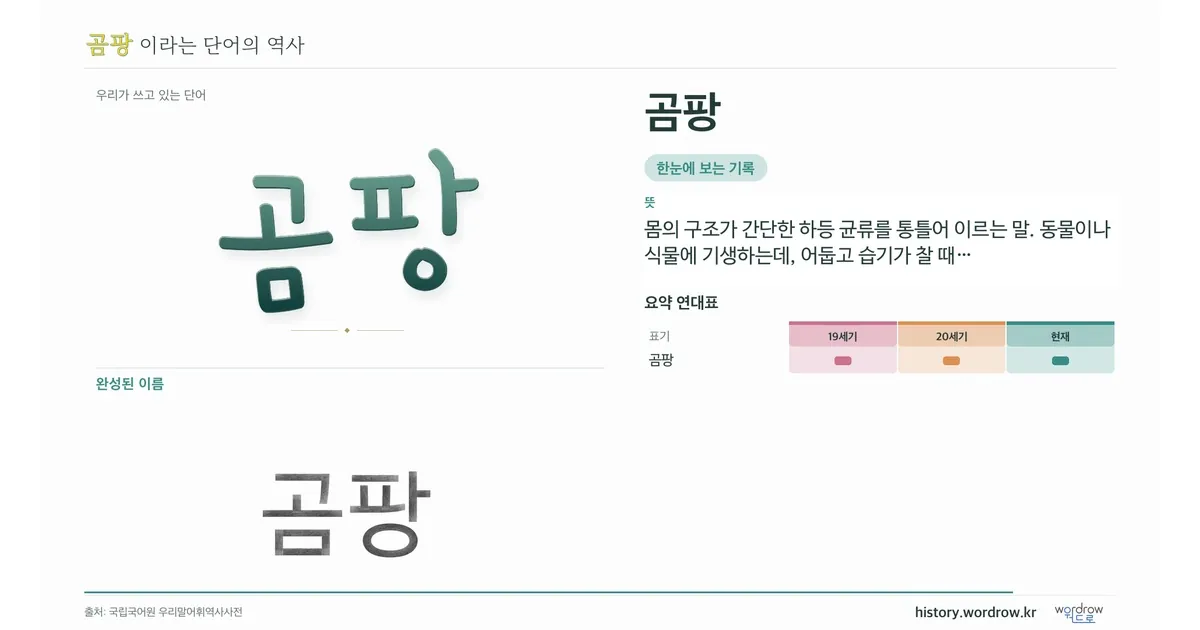 곰팡 대표 이미지