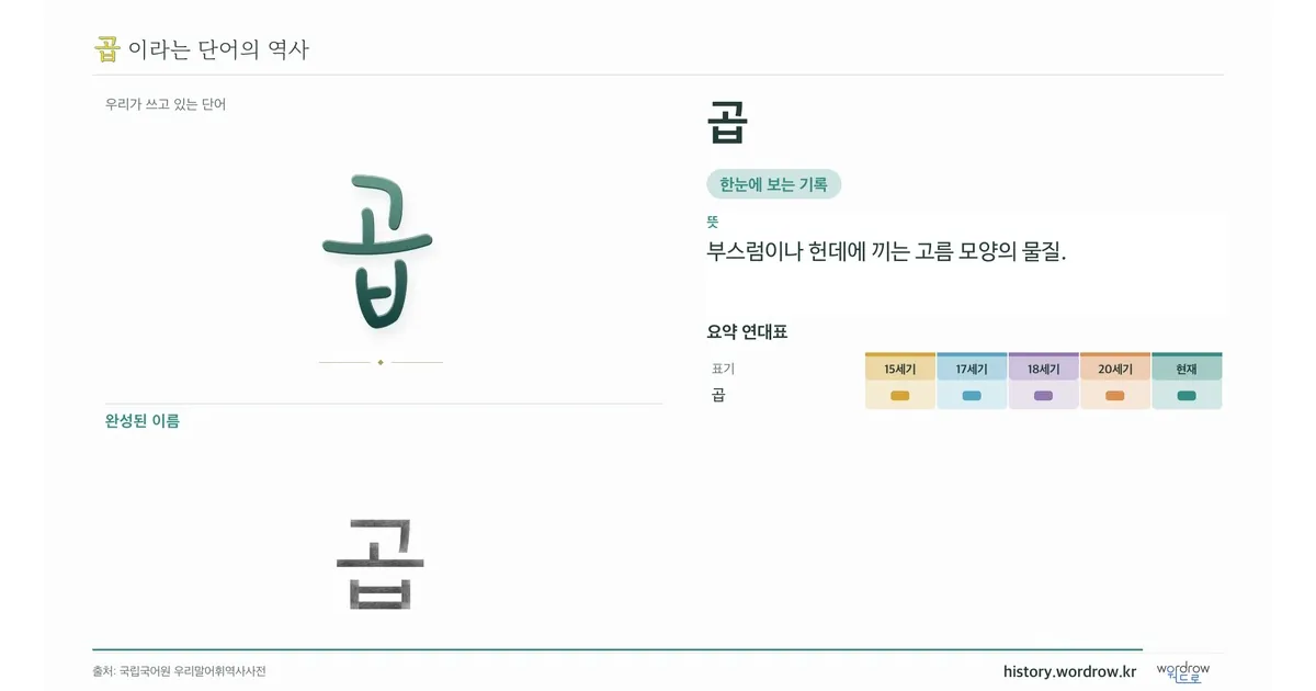 곱 대표 이미지