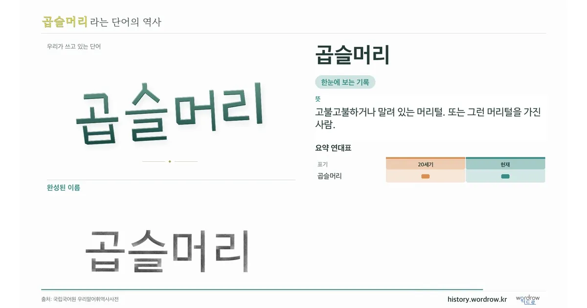 곱슬머리 대표 이미지