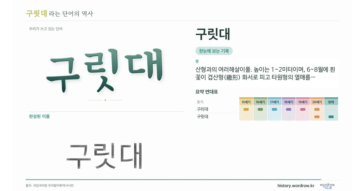 구릿대 대표 이미지