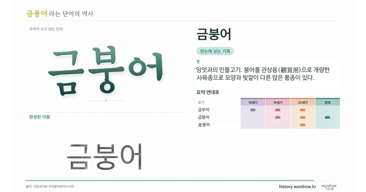 금붕어 대표 이미지