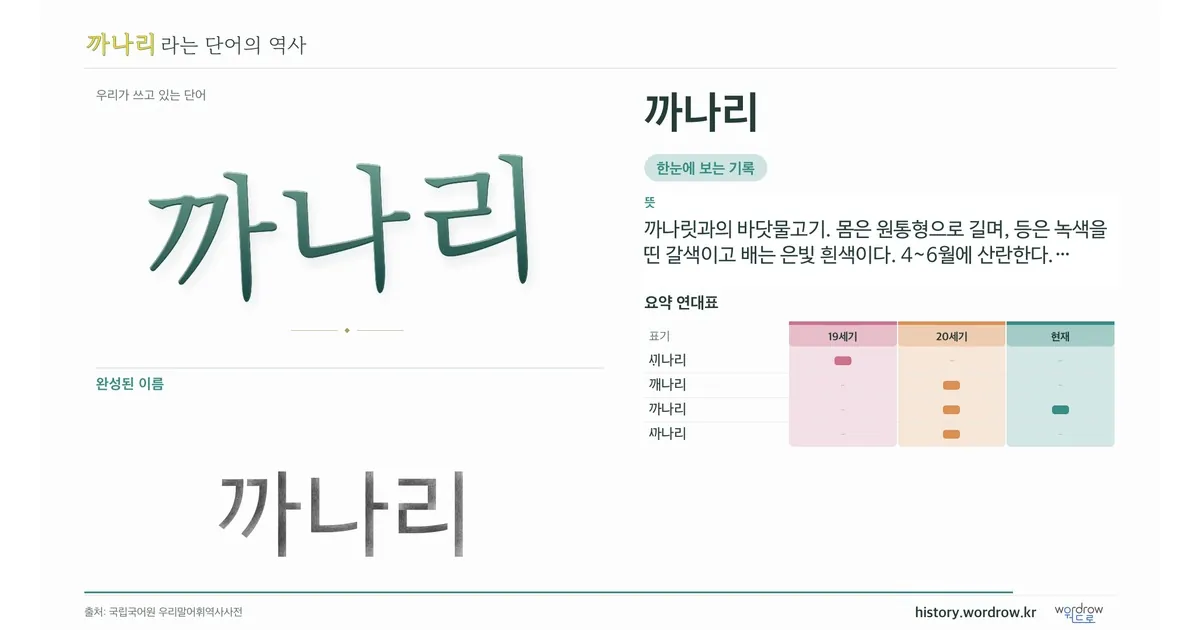 까나리 대표 이미지