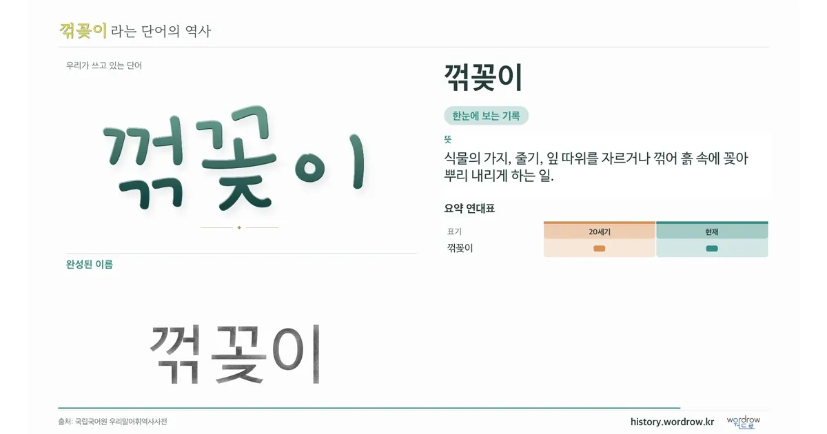 꺾꽂이 대표 이미지