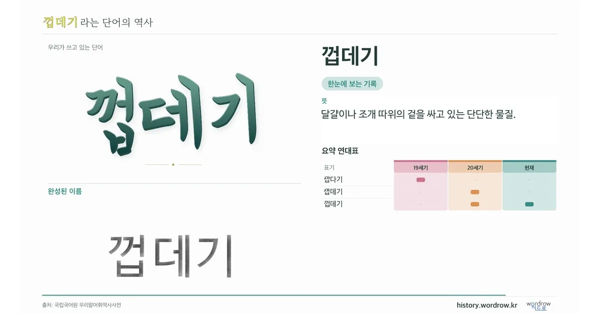 껍데기 대표 이미지