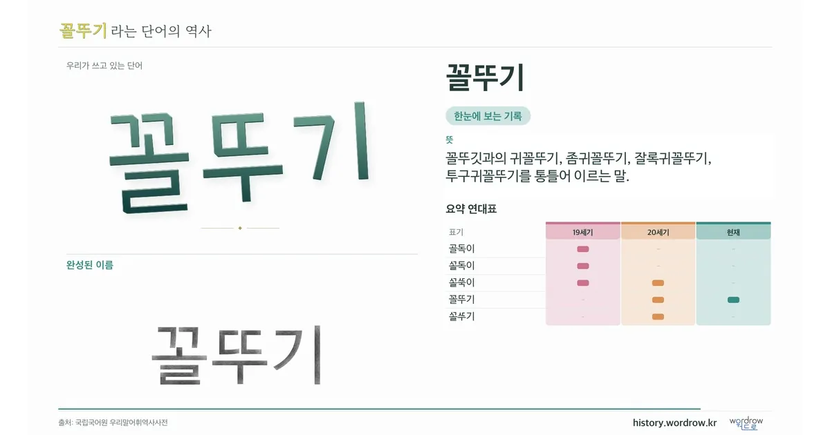 꼴뚜기 대표 이미지