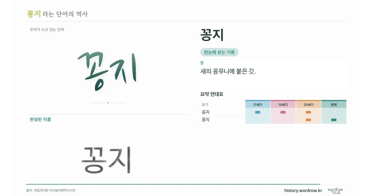 꽁지 대표 이미지