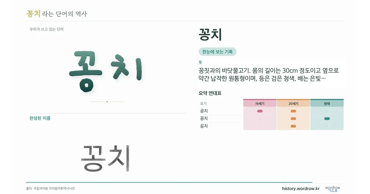 꽁치 대표 이미지