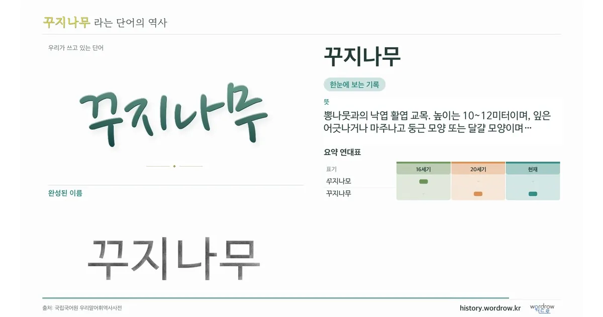 꾸지나무 대표 이미지