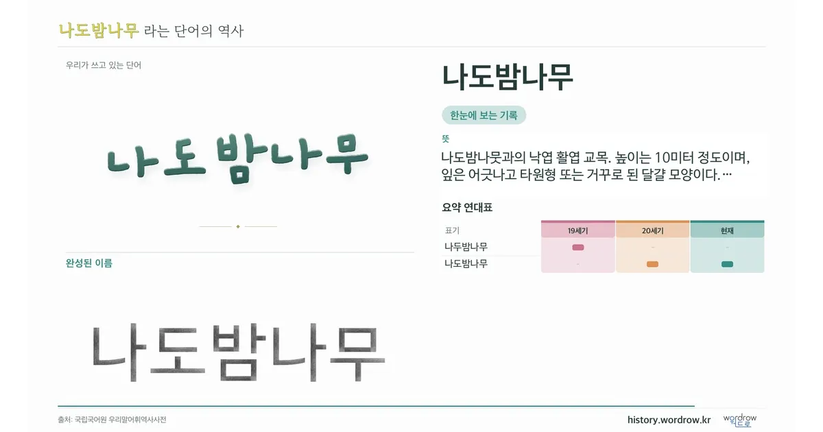 나도밤나무 대표 이미지