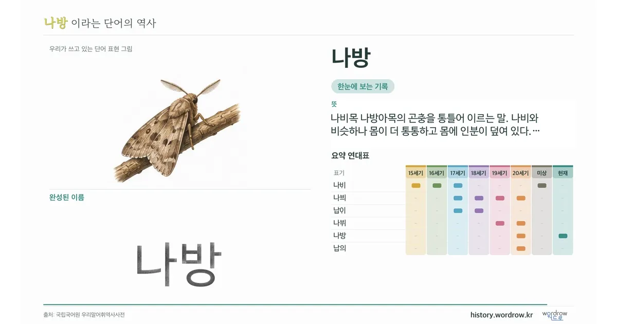 나방 대표 이미지