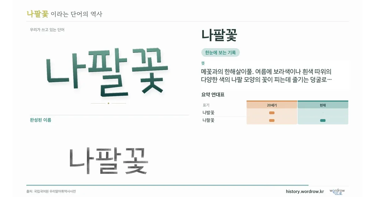 나팔꽃 대표 이미지
