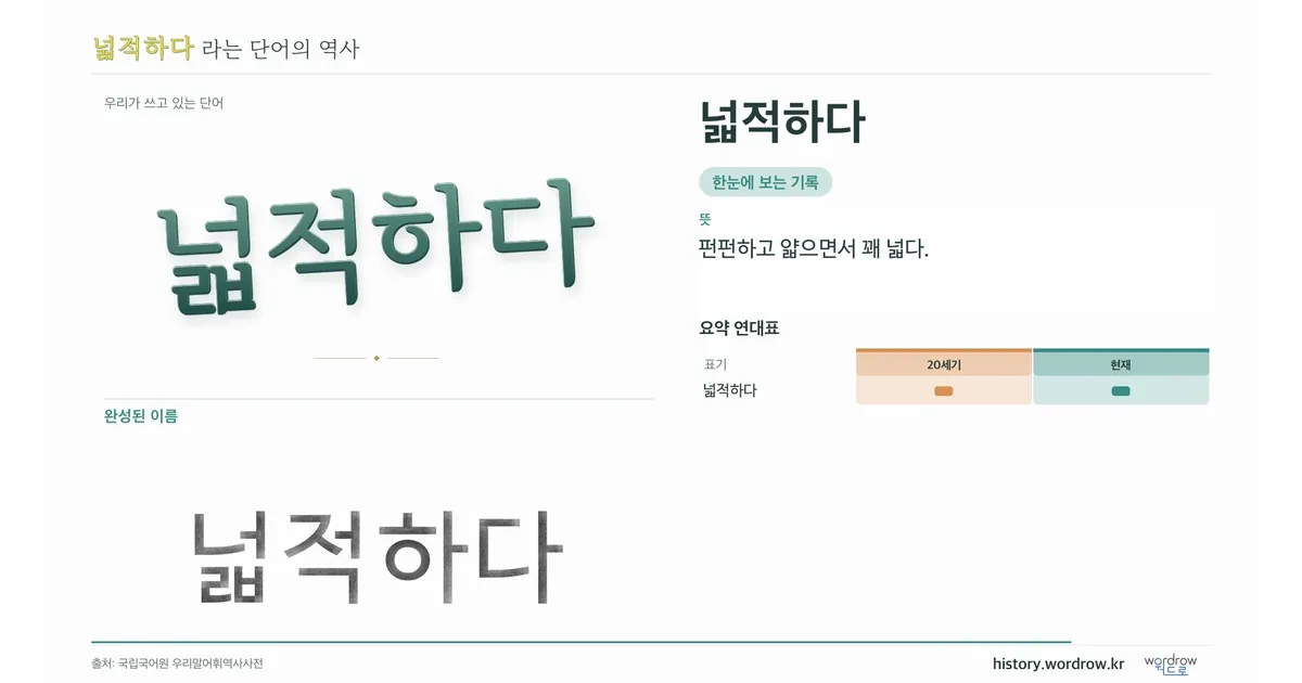 넓적하다 대표 이미지