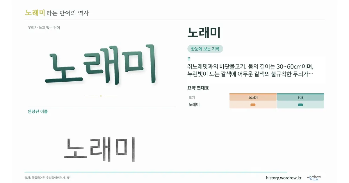 노래미 대표 이미지