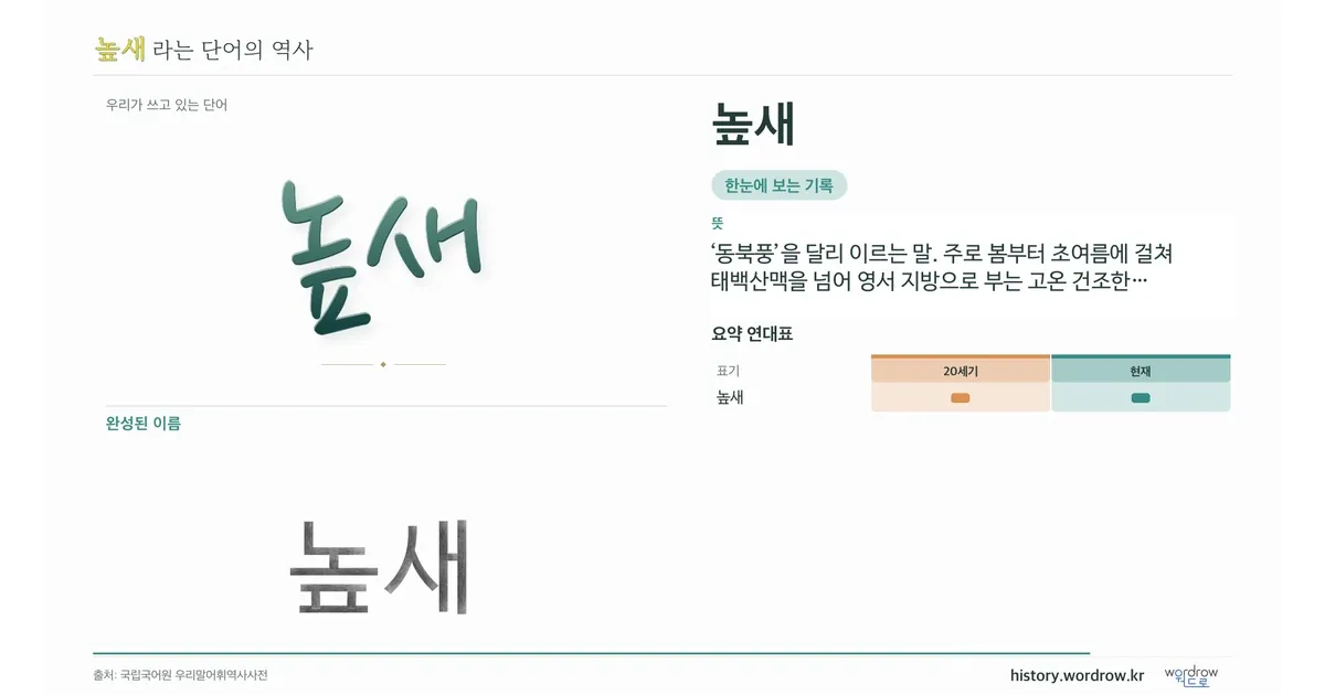 높새 대표 이미지