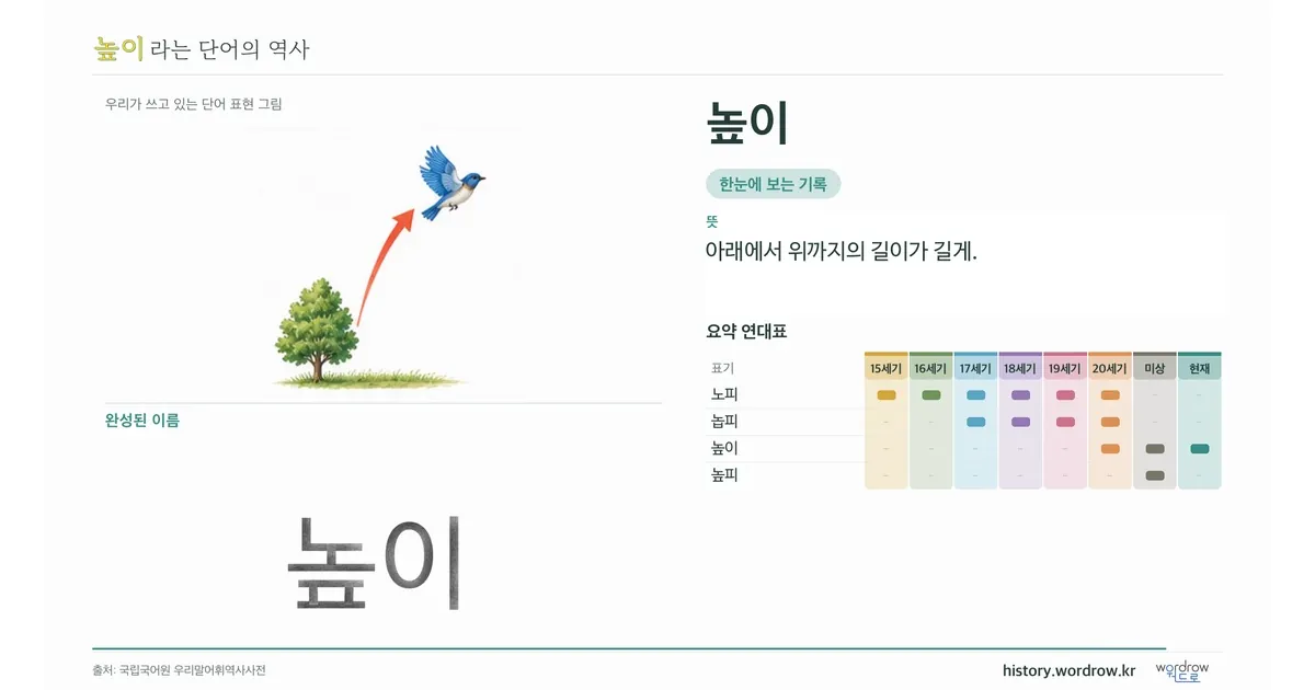 높이 대표 이미지