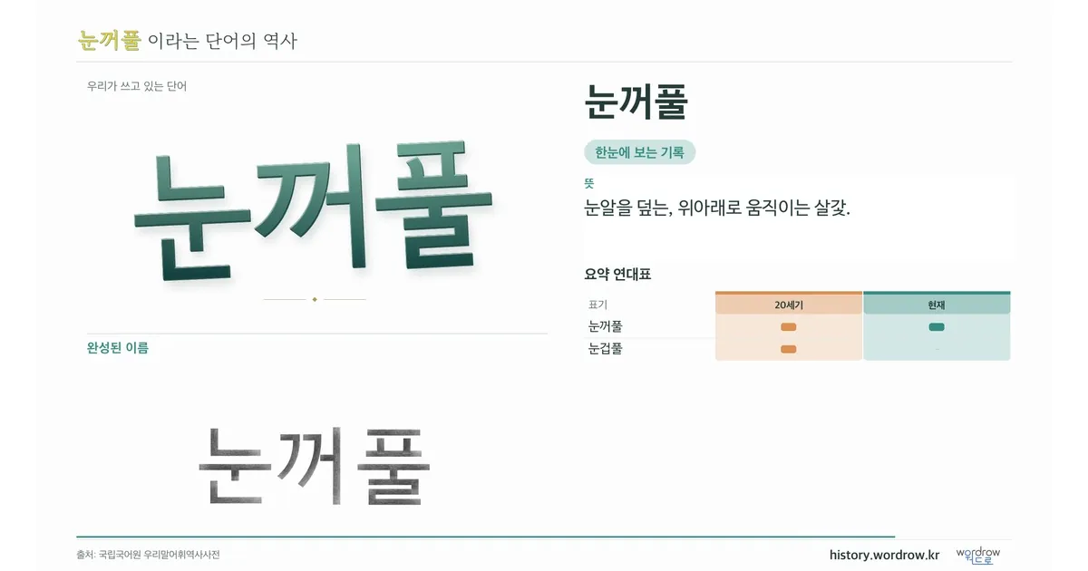 눈꺼풀 대표 이미지
