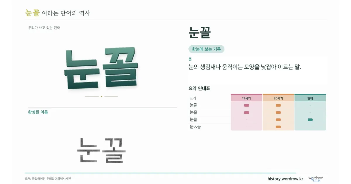 눈꼴 대표 이미지