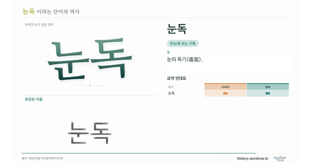 눈독 대표 이미지