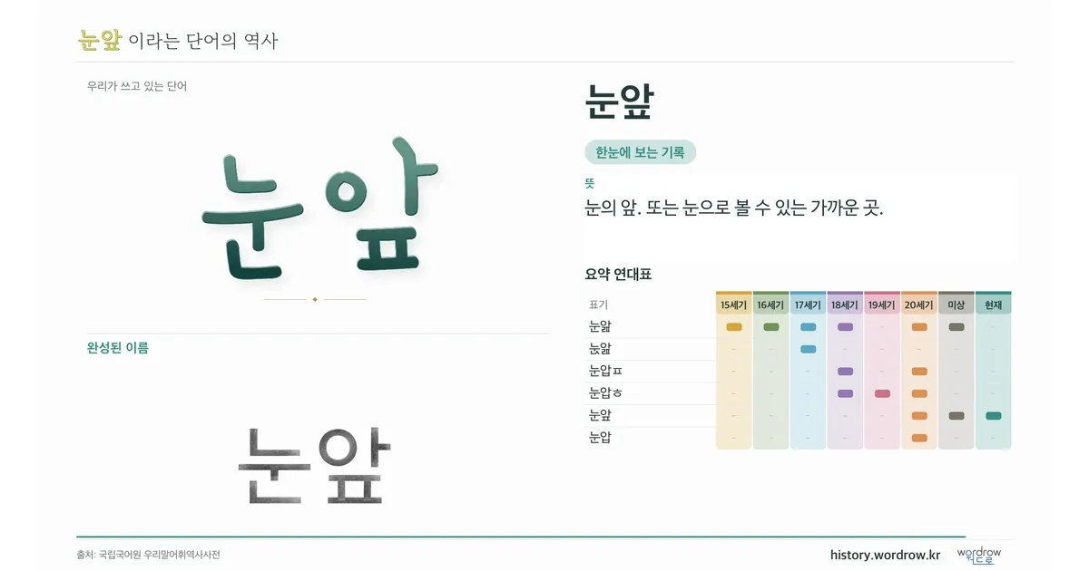 눈앞 대표 이미지