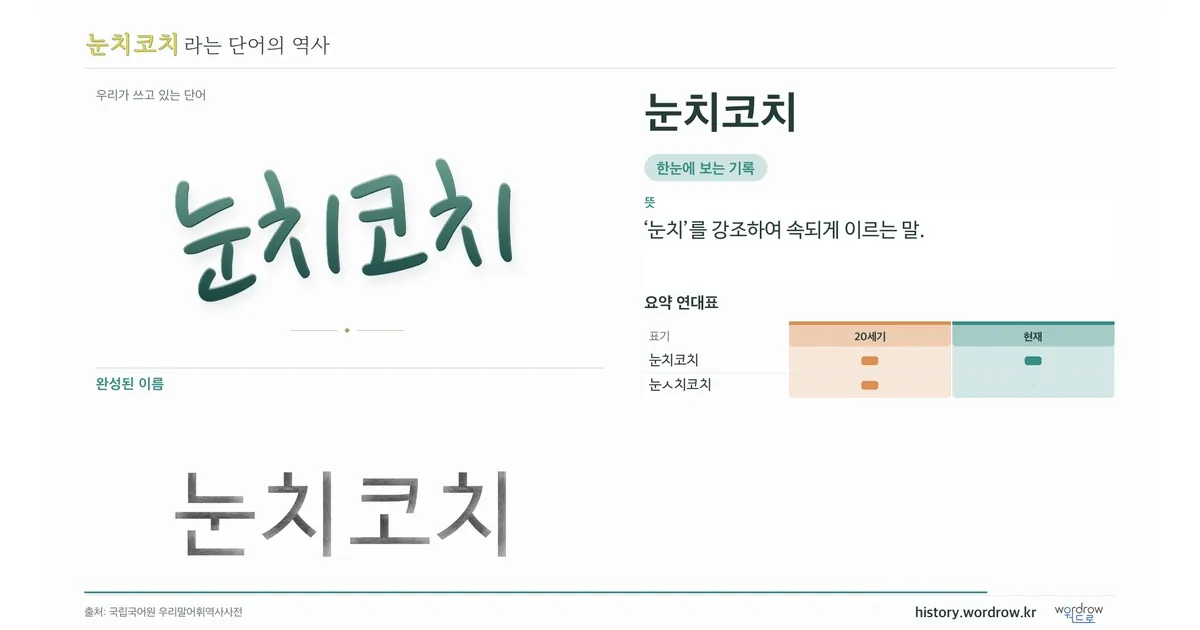 눈치코치 대표 이미지