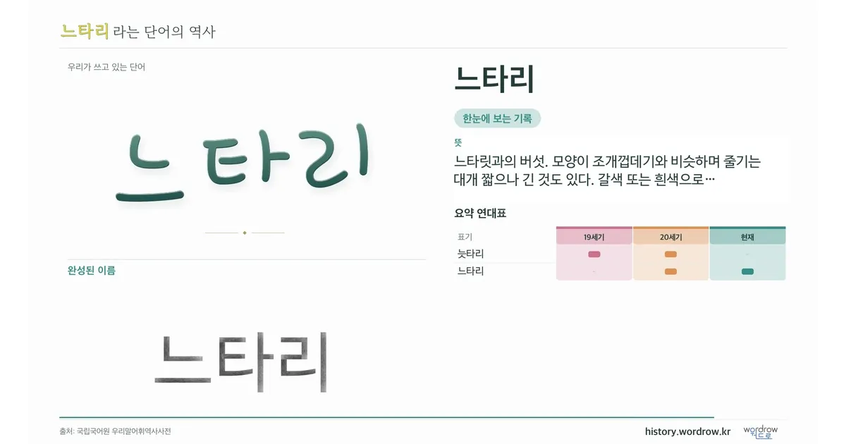 느타리 대표 이미지