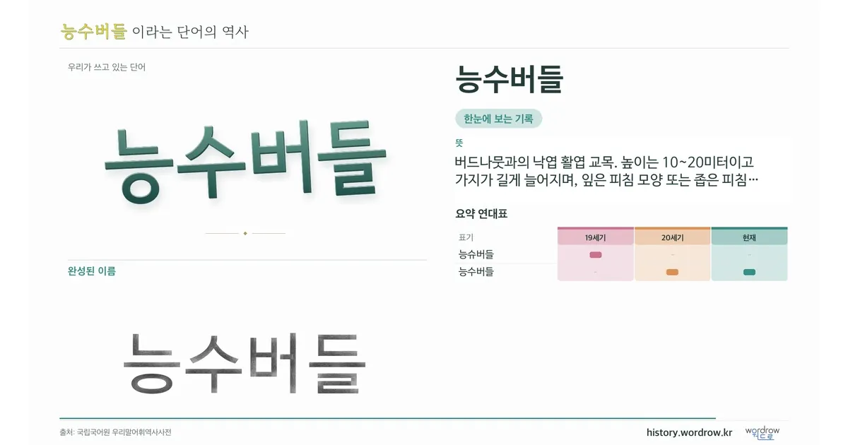능수버들 대표 이미지