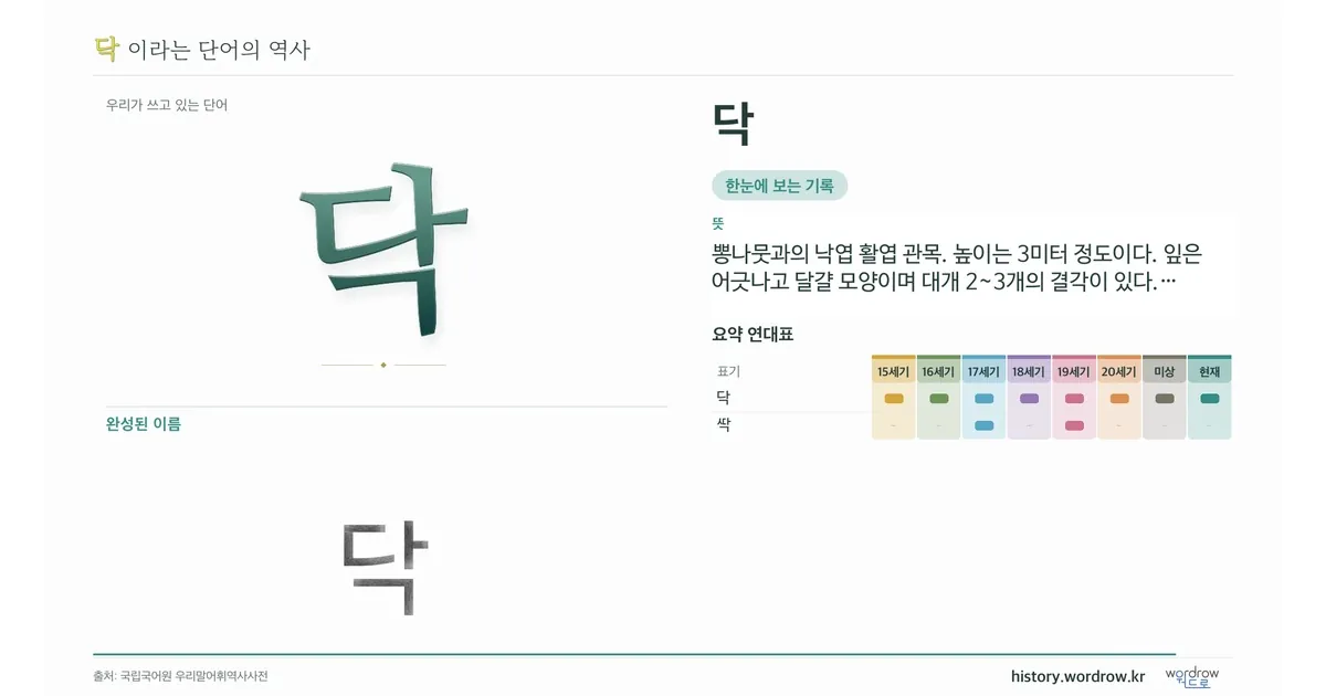 닥 대표 이미지