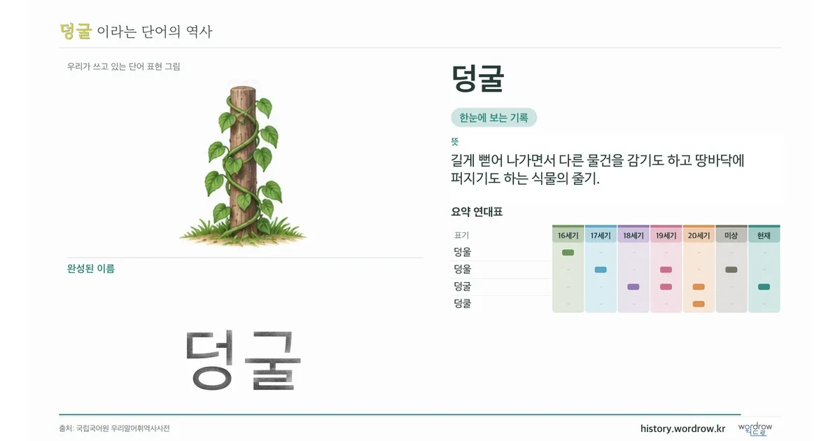 덩굴 대표 이미지