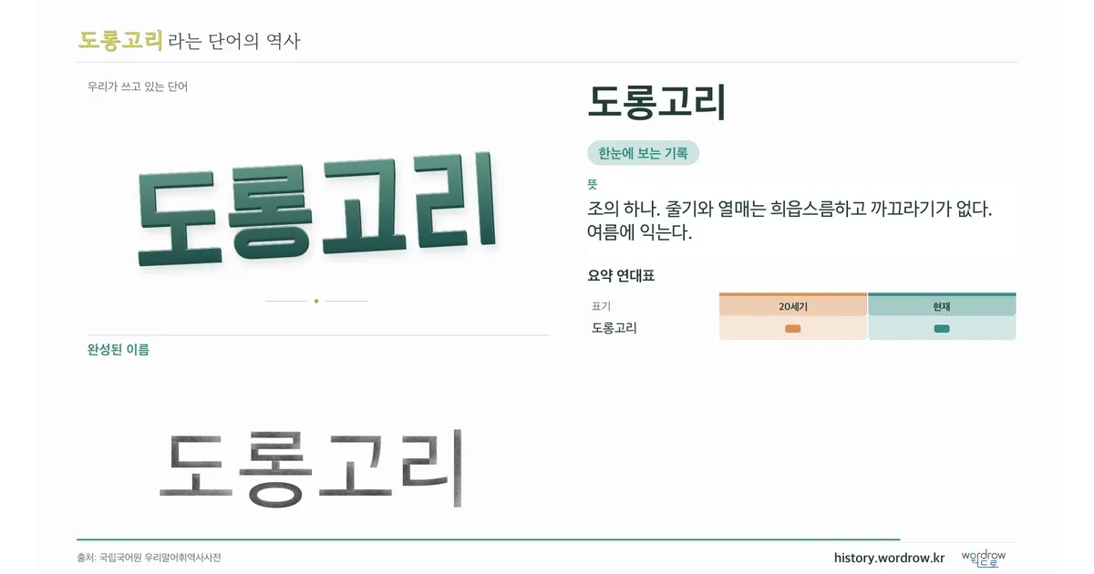 도롱고리 대표 이미지
