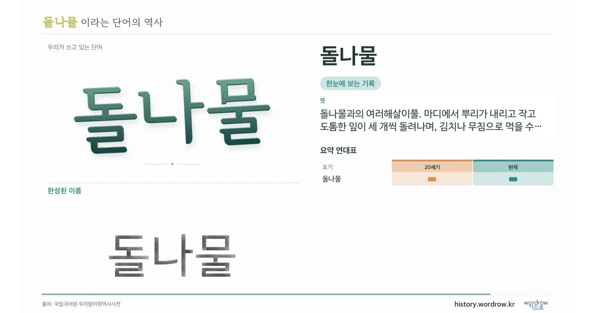 돌나물 대표 이미지