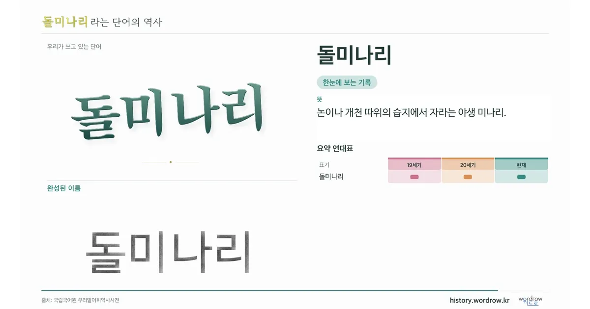 돌미나리 대표 이미지