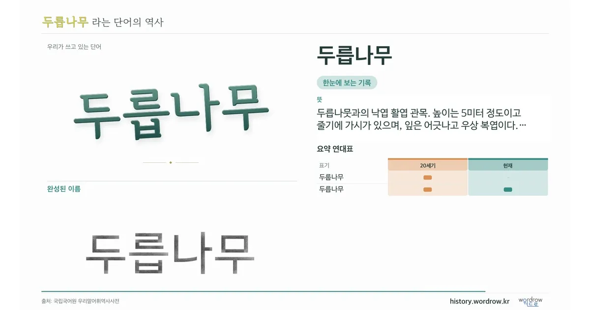 두릅나무 대표 이미지