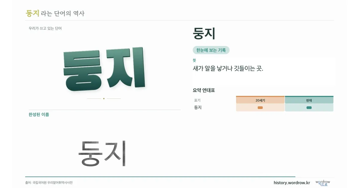 둥지 대표 이미지